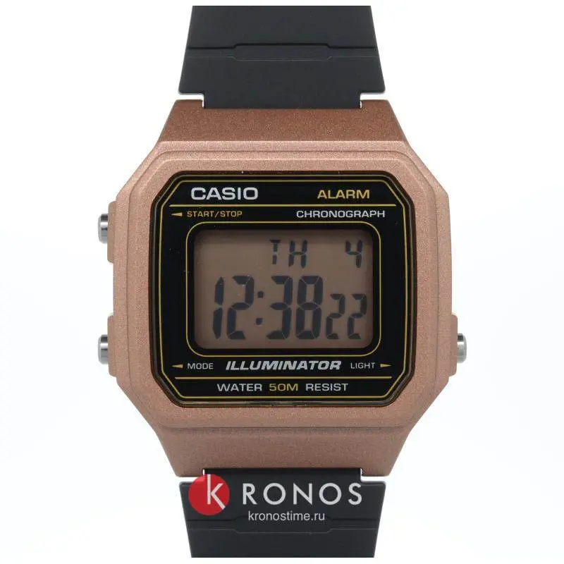 Фотография часов Casio Collection W-217HM-5A